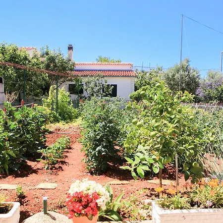 Jolanda Apartament Rogoznica (Sibenik-Knin)